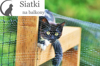 Dla Kota - Ceny za siatki ochronne - Najtańsza siatka